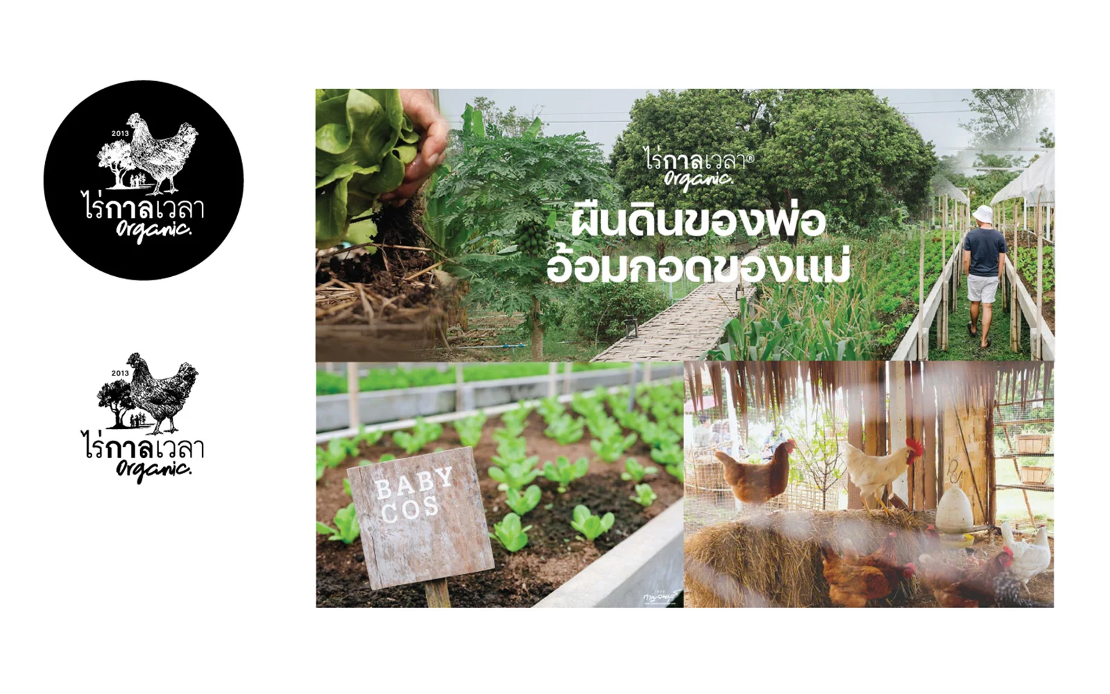Brand identity and applications.